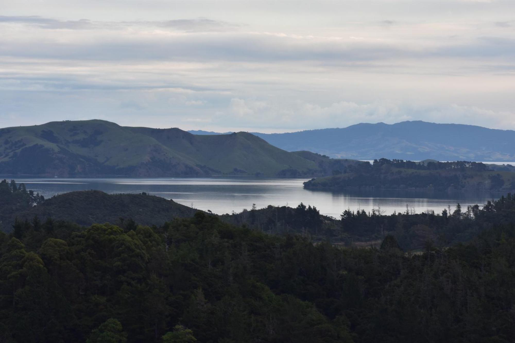 Atea Lodge Coromandel Bagian luar foto