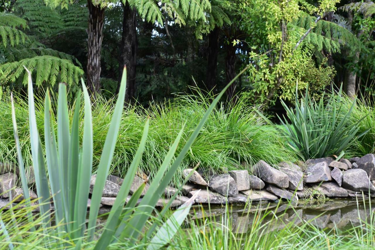 Atea Lodge Coromandel Bagian luar foto
